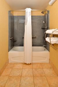 a bathroom with a tub and a shower curtain at Holiday Inn Martinsburg by IHG in Martinsburg