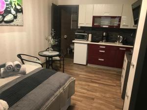 a room with a bed and a table and a kitchen at Spadzista 3 in Kłodzko