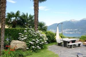 a bench sitting next to a palm tree next to a beach at Luxusvilla ***** in Cavriana, Tessin in Magadino