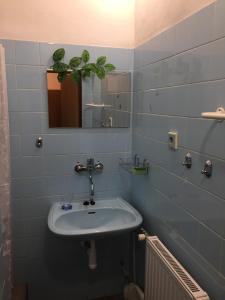 a bathroom with a sink and a mirror and a plant at Penzion KUDLIK in Rudná pod Pradědem