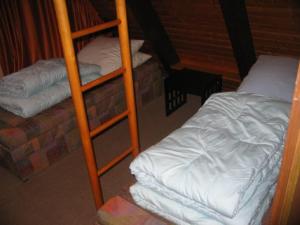 ein Etagenbett und eine Leiter neben einem Bett in der Unterkunft Type Winnetou in Ronshausen