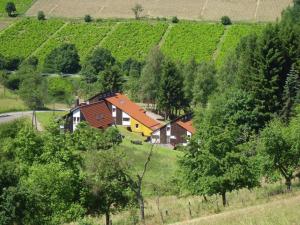 a house in the middle of a field with trees at Typ Fuchsbau in Schmallenberg