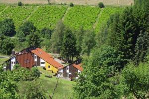 eine Gruppe von Häusern auf einem Feld mit Bäumen in der Unterkunft Typ Murmeltier in Schmallenberg