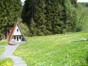 a small house on the side of a grassy hill at Typ Murmeltier in Schmallenberg +28 photos