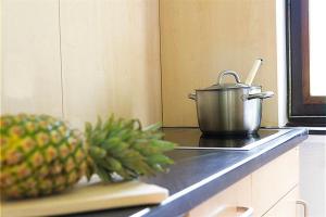 a pot on a stove with a pineapple on the counter at Vulkaneifel Type B in Gerolstein