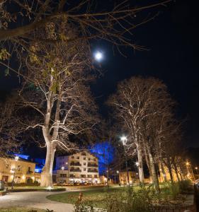 Fotografie z fotogalerie ubytování Crimea Wine Hotel v destinaci Chiavenna