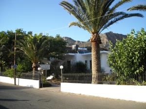 a palm tree in front of a white building at Protopapas in Palaiochora