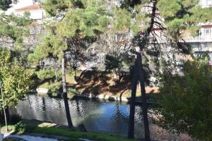 a view of a river with trees and water at Central and modern flat by the river in Tríkala