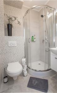 W łazience znajduje się prysznic, toaleta i umywalka. w obiekcie CR Apartament Broniewskiego 15 w mieście Białystok