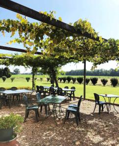 a group of tables and chairs under a pergola at Agriturismo Le Colombaie in Busseto
