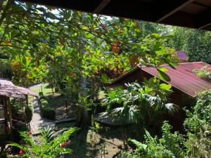 a small house in a garden with a tree at Cabinas Nirvana Ecolodge in Cahuita