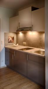 uma cozinha com armários de aço inoxidável e um lavatório em Hofgut Held em Prüm