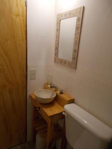 a bathroom with a sink and a toilet and a mirror at La Holandesa B & B in Villa Meliquina +20 photos