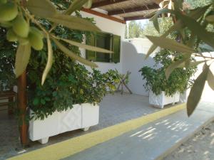 A garden outside Leros Eleonas Apartments