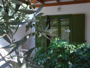 A garden outside Leros Eleonas Apartments