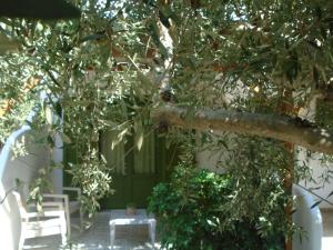 A garden outside Leros Eleonas Apartments