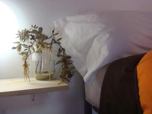 Photo de la galerie de l'établissement ALBERGUE TURÍSTICO DE CORNALVO, à Trujillanos