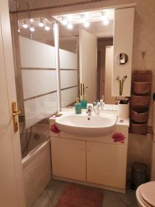 ein Bad mit einem Waschbecken, einer Dusche und einem Spiegel in der Unterkunft la maison di Angelica in Beausoleil