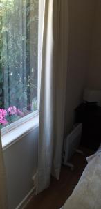 Fotografie z fotogalerie ubytování habitac privada Bed n Bkf Patagonia Norte - Puerto Varas Homestay - BnB Plus v destinaci Puerto Varas