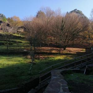 a view of a park with trees and a fence at Casa de Baixo in Lousã