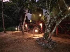 Giardino di 360 Rainforest
