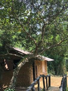 Giardino di 360 Rainforest
