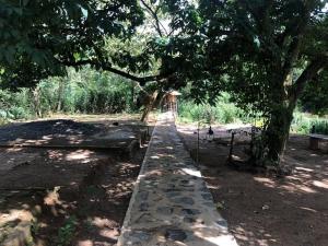 Giardino di 360 Rainforest