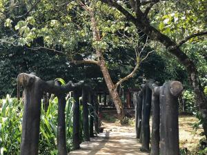 Giardino di 360 Rainforest