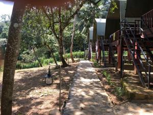 Giardino di 360 Rainforest