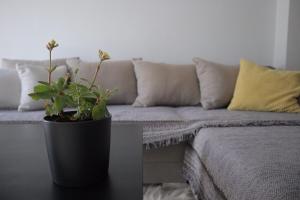 Kép Black & Yellow Apartment at City Center szállásáról Joáninában a galériában