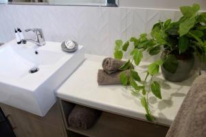 a bathroom with a sink and a potted plant at Dundee Beach Holiday Park in Dundee Beach