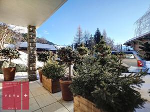 un groupe d'arbres de Noël en pots sur un patio dans l'établissement Erika 012, à Verbier