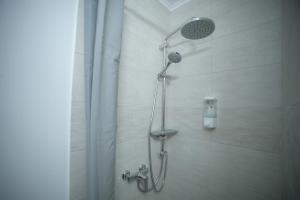 a shower with a shower head in a bathroom at Green Hill in Lviv