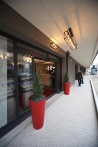 Hôtel Fontaine Argent - Centre Ville في بيزنسون: اثنين من نباتات الفخار موجودة خارج المبنى
