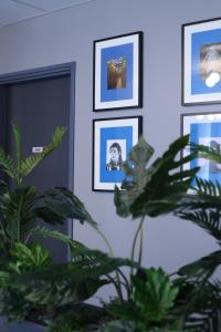 Fotografie z fotogalerie ubytování Best Western Hotel Fontaine Argent v destinaci Besançon