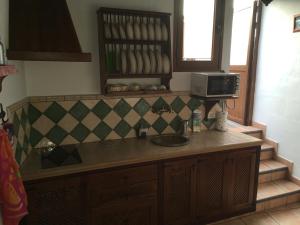 cocina con encimera con fregadero y microondas en La Zamora, en Guarazoca