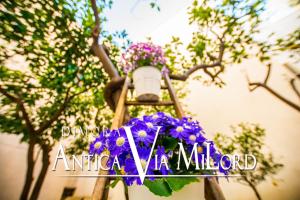 A garden outside Dimora Antica Via MiLord