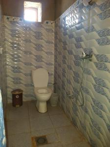 a bathroom with a toilet and a shower at Family Moroccan House in Merzouga