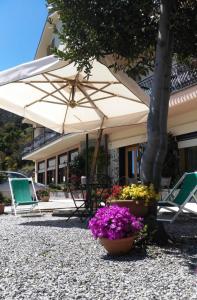 a patio with chairs and an umbrella and flowers at Albergo Suisse Bellevue in Monterosso al Mare