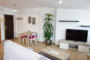 Televízia a/alebo spoločenská miestnosť v ubytovaní Apartment Sirena Beach