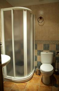 a bathroom with a shower and a white toilet at EL MESÓN DE GREDOS in Navarredonda de Gredos