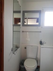 ein Bad mit einem weißen WC und einem Fenster in der Unterkunft Gîte au coeur du pays dinannais in Plumaudan