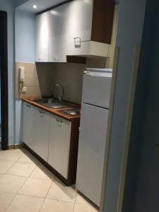 eine Küche mit einem weißen Kühlschrank und einer Spüle in der Unterkunft Residence Lodi in Rom