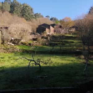 un champ vert avec une maison en arrière-plan dans l'établissement Casa de Cima, à Lousã