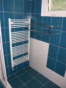 a blue tiled bathroom with a shower with a radiator at Chata OSTRUZINA 10+2 in Lipno nad Vltavou