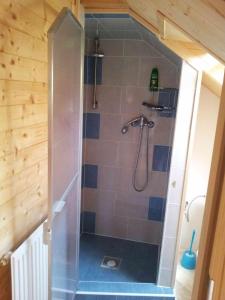 a bathroom with a shower in a room at Chata OSTRUZINA 10+2 in Lipno nad Vltavou