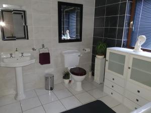 uma casa de banho com um WC, um lavatório e um espelho. em Los Molinos em Tralee