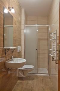 シュツァブニツァにあるSchronisko PTTK Orlicaのバスルーム(トイレ、洗面台、シャワー付)