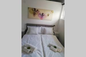 Postel nebo postele na pokoji v ubytování Dimitrios Loft Apartment