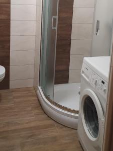 Kamar mandi di Apartamenty Bartnicza A